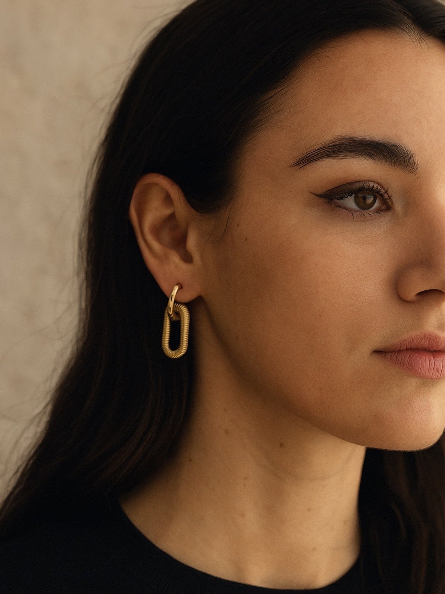 Oval Double Link Design Western Earrings