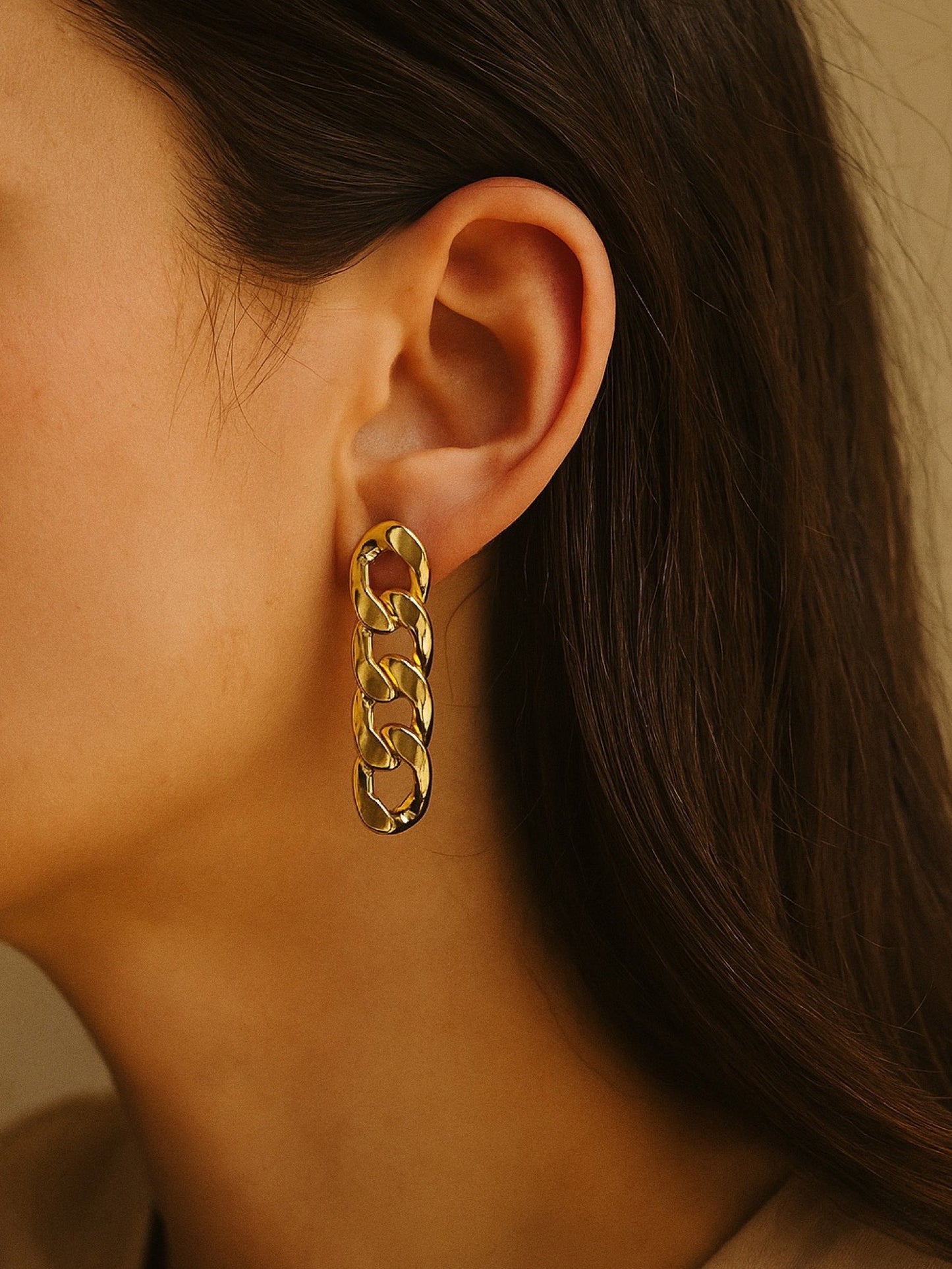 Chain Link Design Western Earrings