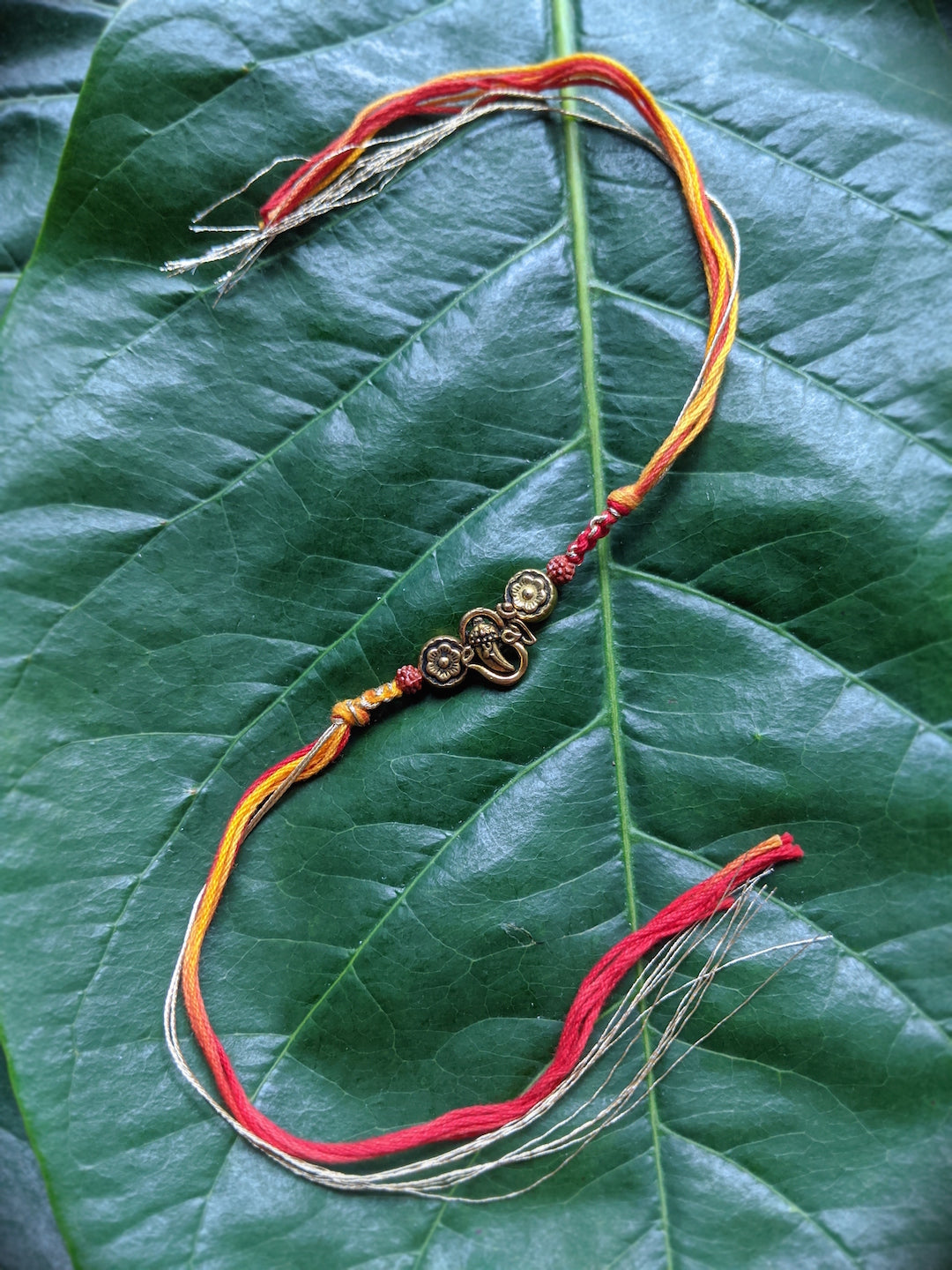 Raksha Bandhan Date 2095