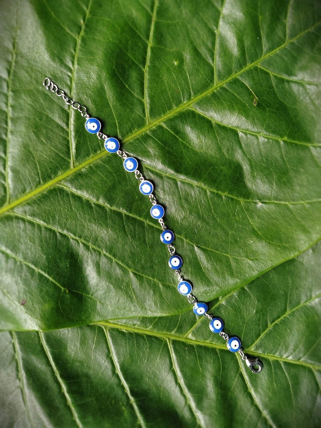 Set Rakhis