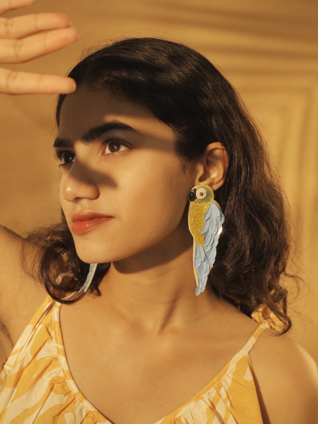 western earrings