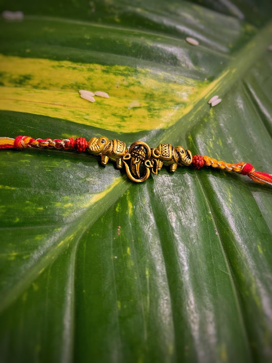 Rakhi